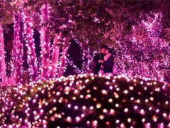 北京市首例NB-IOT应用智慧路灯项目启动