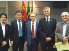 什么样的工程照明企业能强有力地抢占景观照明市场?