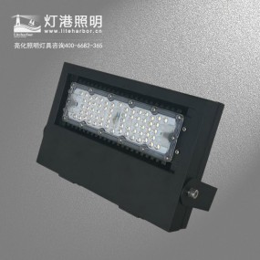 DG5203-LED投光灯