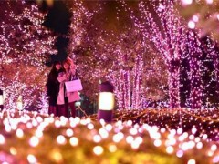 30万个LED灯给东京新宿夜景镀上樱花色