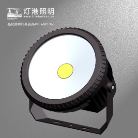 DG5216B-LED投光灯/COB投光灯厂/投光灯亮化工程