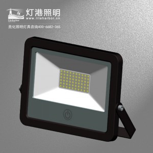 DG5212-感应LED投光灯/LED泛投光灯/调光LED投光灯