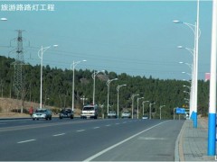 燕山立交桥、济南市旅游路灯亮化工程-路灯照明工程