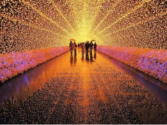 旅游城市景观亮化照明 恒大点亮海口梦幻灯光节