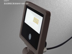 DG5212-感应LED投光灯/楼体投光灯/LED照树灯/户外投光灯